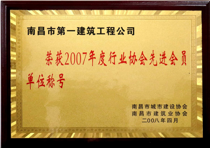 2008.4 2007年度行業(yè)協(xié)會先進(jìn)會員單位稱號.jpg